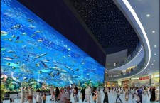 Самый большой торговый центр: Dubai Mall